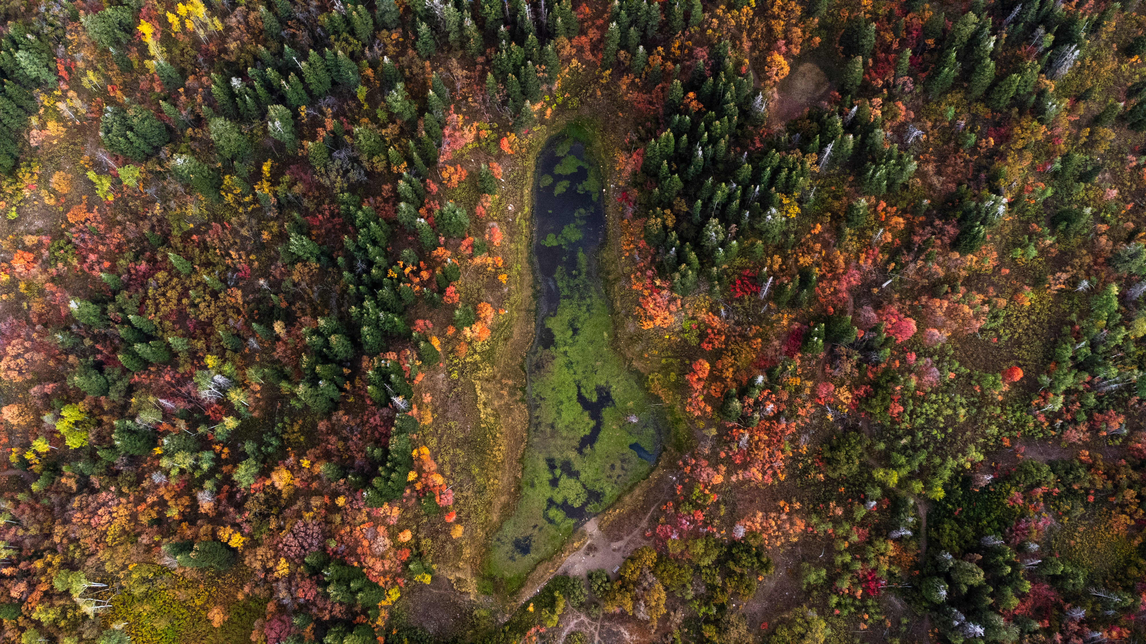 Snowbasin fall aerial